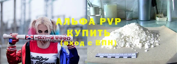 крисы Кодинск