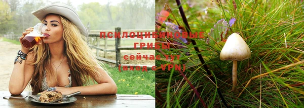 стафф Козельск