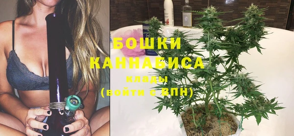 крисы Кодинск