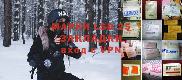 крисы Кодинск