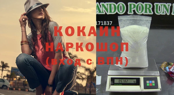 стафф Козельск