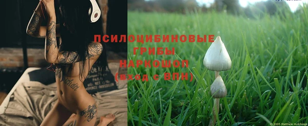 крисы Кодинск
