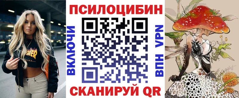 Купить закладки  Богданович  Псилоцибиновые грибы MAGIC MUSHROOMS 