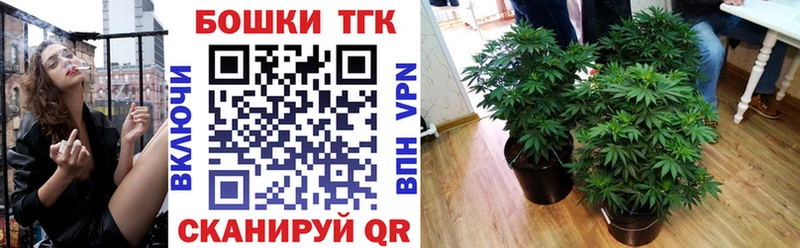 Купить где  Богданович  Конопля сатива 